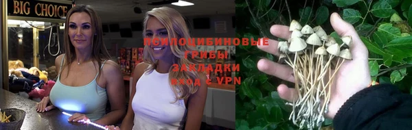 меф Дмитриев