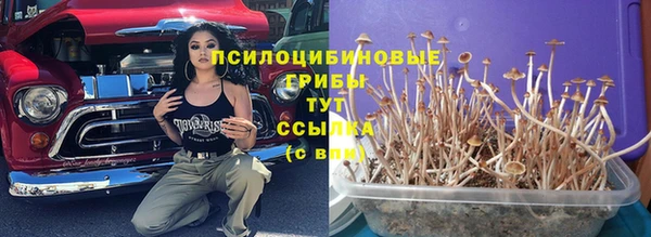 меф Дмитриев
