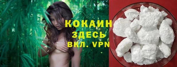 меф Дмитриев