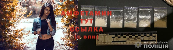 меф Дмитриев