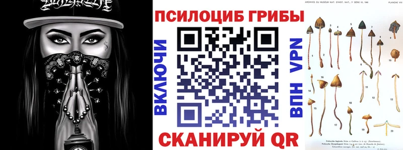 блэк спрут ссылка  Жердевка  Псилоцибиновые грибы GOLDEN TEACHER 