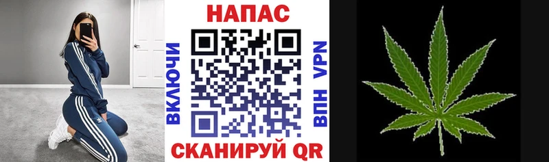 Конопля MAZAR  Жердевка 